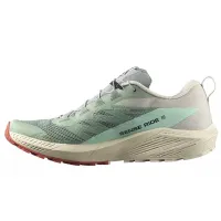 Кроссовки для бега Мужские Salomon SENSE RIDE 5 (472117)