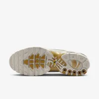 Nike Air Max Plus чоловічі Кросівки колір сірий