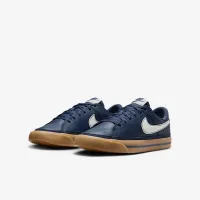 Nike Court Legacy Big дитячі Кросівки блакитний