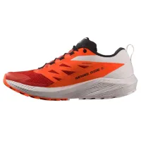 Кросівки для бігу Чоловічі Salomon SENSE RIDE 5 (470462)