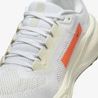 Nike Pegasus 41 