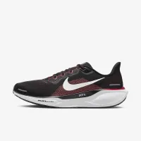 Nike Pegasus 41 NFL Atlanta Falcons мужские Road Running Кроссовки цвет черный