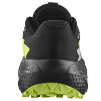 Кроссовки для бега Мужские SALOMON ALPHAGLIDE GTX Gore-Tex (478020)