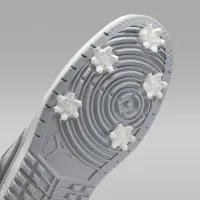 Nike Air Jordan 1 Low G для гольфа Кроссовки цвет серый