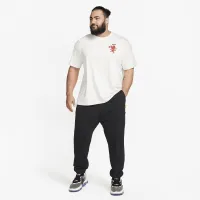 Nike LeBron мужские Max90 футболка цвет серый