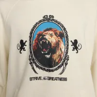 Nike LeBron мужские Pullover Fleece Толстовка с капюшоном цвет серый