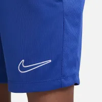 Nike Trophy23 Big детские Dri-FIT тренировочные шорты синий
