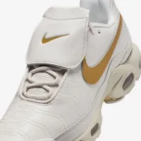 Nike Air Max Plus чоловічі Кросівки колір сірий