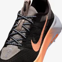 Nike Wildhorse 10 мужские Trail Running Кроссовки цвет черный