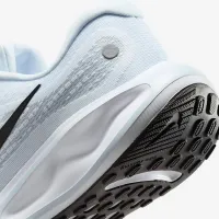 Nike Journey Run жіноча Road Running Кросівки блакитний