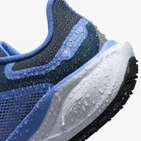 Nike Pegasus 41 GORE-TEX женская Waterproof Road Running Кроссовки синий
