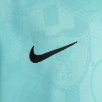 Liverpool FC Academy Pro Big детские Nike Dri-FIT Soccer Pre-Match Short-Sleeve Top цвет зеленый