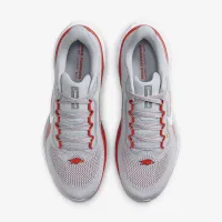 Arkansas Pegasus 41 чоловічі Nike College Road Running Кросівки колір сірий