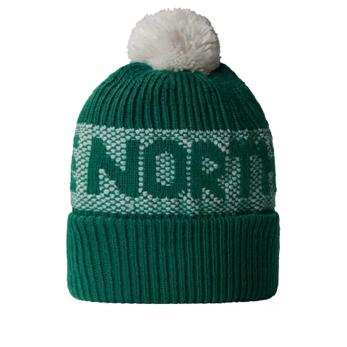 Шапка The North Face Retro Cabin 0A88QW84O1 - зеленая