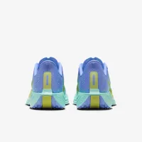 Nike Pegasus Plus женская Road Running Кроссовки синий