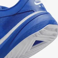 Nike Giannis Freak 5 баскетбольные Кроссовки синий
