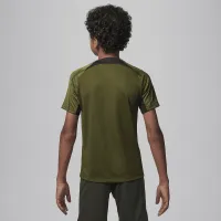Nike Paris Saint-Germain Strike Fourth Big детские Jordan Dri-FIT Soccer Knit Top цвет зеленый