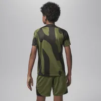 Nike Paris Saint-Germain Academy Pro Fourth Big дитячі Jordan Dri-FIT Soccer Pre-Match Top колір зелений