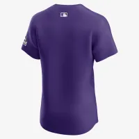 Colorado Rockies мужские Nike Dri-FIT ADV MLB Elite Jersey цвет фиолетовый