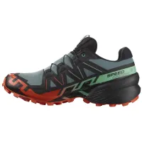 Кроссовки для бега w terenie SALOMON SPEEDCROSS 6 GTX Gore-tex (477013)