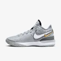 Nike LeBron NXXT Gen баскетбольные Кроссовки цвет серый