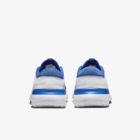 Nike Free для гольфу NN для гольфу Кросівки (Wide) блакитний