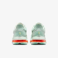 Nike Pegasus Premium мужские Road Running Кроссовки цвет зеленый