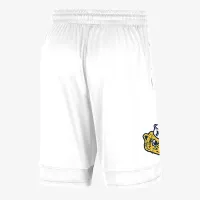Michigan чоловічі Nike College шорти колір білий