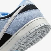 Nike SB Dunk Low Pro Skate Кроссовки синий