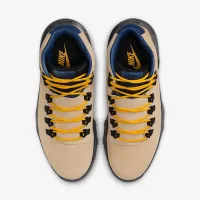 Nike Cygnal мужские Кроссовки цвет коричневый