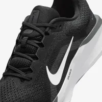 Nike Winflo 11 чоловічі Road Running Кросівки колір чорний