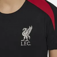 Liverpool FC Strike Big дитячі Nike Dri-FIT Soccer Short-Sleeve Knit Top колір чорний