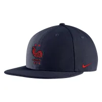 Nike FFF Pro Big Kids' Snapback Hat Blue