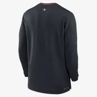 Detroit Tigers Authentic Collection чоловічі Nike Dri-FIT MLB 1/2-Zip Long-Sleeve Top блакитний