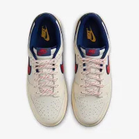 Nike Dunk Low Retro SE мужские Кроссовки цвет коричневый