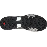 Кросівки для трекінгу SALOMON X ULTRA 4 GTX GORE-TEX (412881)