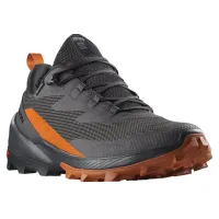 Кросівки для трекінгу SALOMON CROSS OVER 2 GTX Gore-Tex (472650)
