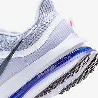 Nike Pegasus Premium мужские Road Running Кроссовки цвет серый