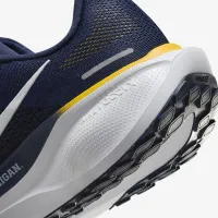 Michigan Pegasus 41 чоловічі Nike College Road Running Кросівки блакитний