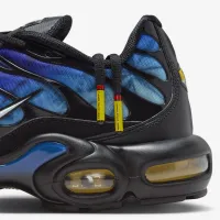 Nike Air Max Plus Кросівки колір чорний