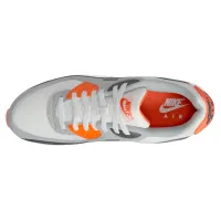 Кросівки Чоловічі NIKE AIR MAX 90 (DM0029 108)