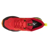 Кроссовки для бега w terenie Mizuno WAVE DAICHI 9 (J1GJ257103)