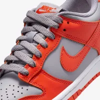Nike Dunk Low Big детские Кроссовки цвет серый