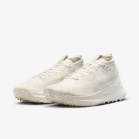 Nike Pegasus Trail 4 GORE-TEX мужские Waterproof Trail Running Кроссовки цвет серый