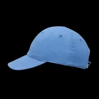 Nike Toddler Futura Curved Brim Cap синий