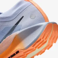 Nike Pegasus Trail 5 GORE-TEX мужские Waterproof Trail Running Кроссовки цвет серый