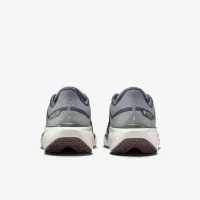 Nike Pegasus 41 GORE-TEX чоловічі Waterproof Road Running Кросівки колір сірий