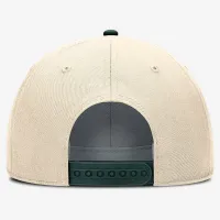 Michigan State Spartans Primetime Rise чоловічі Nike College Adjustable Hat колір коричневий