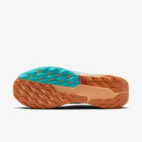Nike Pegasus Trail 5 GORE-TEX чоловічі Waterproof Trail Running Кросівки блакитний