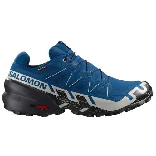 Кроссовки для бега w terenie SALOMON SPEEDCROSS 6 GTX Gore-tex (477649)